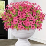 Elyum Artificial Flowers for Outdoors