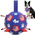 ANGRY ORANGE Pet Odor Eliminator Kit for Dog/Cat Urine