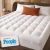 Niagara Sleep Solution Cloud-Like Queen Mattress Topper
