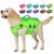 Petglad Dog Life Jacket, High Buoyancy Dog Life Vest with Handle for Swimming Bo