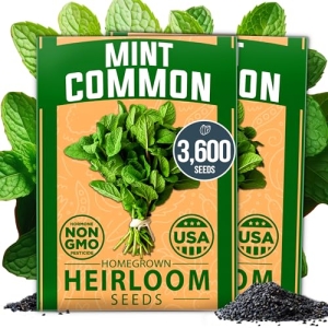 HOME GROWN Premium Common Mint Seeds (Bulk Pack) 3