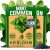 HOME GROWN Premium Common Mint Seeds (Bulk Pack) 3