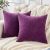 GAWAMAY Decorative Chenille Throw Pillow Covers 24×24 Inch Pack of 2