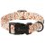 ARING PET Fall Dog Collars, Cute Autumn Maple Leaves Pet Collar with Quick Relea