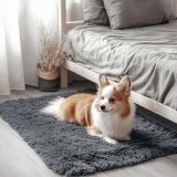 OLANLY 2×3 Machine Washable Small Bedside Rug