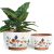 YBX 8 Inch & 6 Inch Terracotta Plant Pots