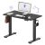 FLEXISPOT Standing Desk Electric Height Adjustable Desk with 40 x 24 Inch Splice