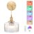 Shenmoyl Battery Operated Wall Sconce with Clear Striped Shade Pattern Glass Adj