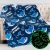 Jekeno Shark Glow in The Dark Blanket Gifts for Girls Boys Christmas Birthday Ki