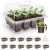 MIXC 10 Pack Seed Starter Tray, 120-Cell Stater Kit with Humidity Dome