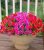 Artificial Faux Outdoor Flowers Plants For Spring Decor