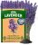 HOME GROWN Non GMO English Lavender Seeds 1