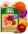 HOME GROWN Zinnia Dahlia Seeds Pack for 2026 Non GMO 524 Flower Seeds