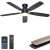 Ohniyou Ceiling Fans with Lights