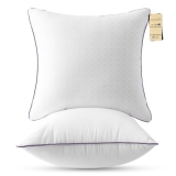 JOLLYVOGUE Euro Size Pillows Set of 2