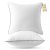 JOLLYVOGUE Euro Size Pillows Set of 2