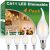 Vinaco CA11 Bulb Dimmable 2700K Warm White