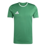 adidas Men’s Entrada26 Jersey Men, Team Green/White, X-Large