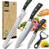 CoquusAid Kitchen Knives Set, 4 PCS Professional Chef Knife Set