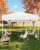 10×10 Pop Up Canopy Tent, Easy Up Canopy with 3 Adjustable Height