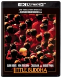 Little Buddha