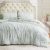 Bedsure Sage Green Comforter Set Queen