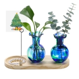 Pozfun Hand Blown Glass Plant Propagation Stations Plant Terrarium Wooden Stand