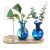 Pozfun Hand Blown Glass Plant Propagation Stations Plant Terrarium Wooden Stand