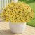LetuoClips Artificial Flowers Fake Plants for Outdoors Spring Decoration