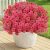 LetuoClips Artificial Flowers Fake Plants for Outdoors Spring Decoration