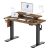 FLEXISPOT Standing Desk with Monitor Stand