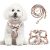 No Pull Small Dog Harness with Leash Set