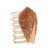 Chunky Scallop Hair Claw Clip – Large Brown Shell Design with Unique Textured &