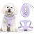 Tewiwap No Pull Small Dog Harness and Leash Set