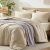 Homelike Moment Twin Comforter Set with Sheets Beige
