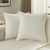 FUTEI Pack of 2 Solid Chenille Throw Pillow Covers 18×18 Inch Soft Edge Decorati