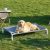 ZOMISIA Elevated Dog Cot Bed Tool-Free Assembly