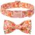 ARING PET Fall Dog Collar with Bow
