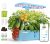 Sainlogic Hydroponics Growing System
