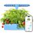 Sainlogic Hydroponics Growing System Kit