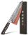 kanngou Japanese Chef Knife Kitchen Knife with 67 Layers Damascus Steel AUS-10 C