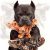 ChienBox DinoBone Tough Dog Chew Toys for Aggressive Chewers