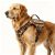 Tactical Dog Harness for Small Dogs