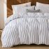 Airefina Air Mattress Queen with Built in Pump