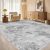 Tortania Washable 6×9 Area Rug for Living Room: Modern Abstract Neutral Large So