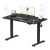 FLEXISPOT EN1 One-Piece Standing Desk