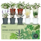 10 Indoor Herb Garden Kit, 33pcs Complete Kitchen Herb Starter Set Including 4-C