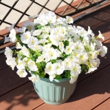 maxkes Artificial Flowers for Outdoors