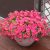 maxkes Artificial Flowers for Outdoors