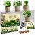 HOME GROWN Indoor Organic Herb Garden Kit